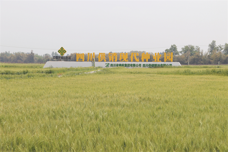 1681547384934211.jpg IMG_4262.JPG